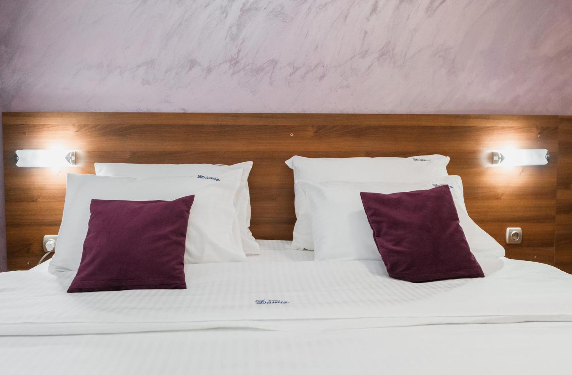 Hotel Damis Pale Zewnętrze zdjęcie